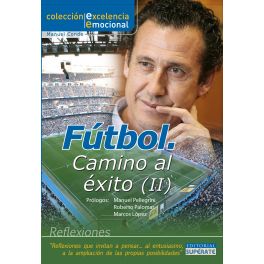 Fútbol. Camino al éxito II